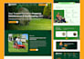 build a custom website for b2b saas, fintech and healthcare
